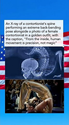 The Science Behind Contortion