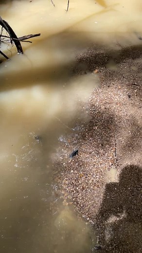 💎 #crystalfossicking #australia #fossicking