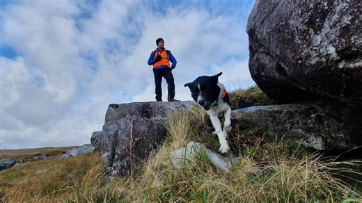 How search dogs find missing people