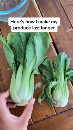 How to Store Big Bok Choy for Freshness | Produce Tips