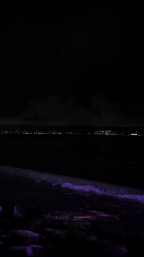 Local Courier Services in ABX and KEX Express | Haluan Kiri and Gerak Solo