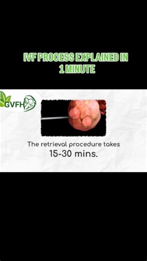 IVF explained, step by step From consultation and egg retrieval to fertilization and embryo transfer, this video breaks down how IVF works in a clear, educational way. For awareness and education only. Always consult licensed fertility professionals. . . . . . . . #IVFExplained #FertilityEducation #IVFJourney #ReproductiveHealth #FamilyBuilding | God's Voice Family Health