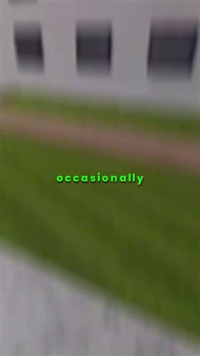 BACKROOMS Level 188 WINDOWS... #shorts