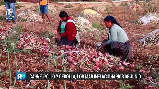 Programa Rural Noticias, Jueves 3 de julio del 2025