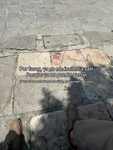 De viaje sin problema 😮‍💨🛫 #turismo #viajes #sanmigueldeallende #guanajuato #pueblomagico #catedral #centro