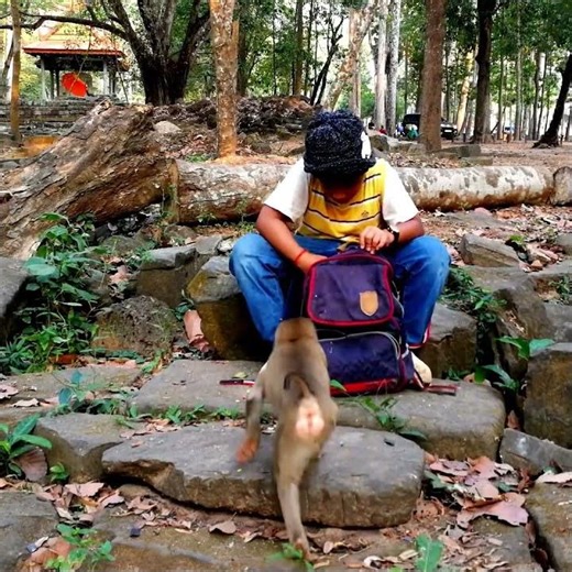 Love Billy Never Forgets Her Sweet Smile for Friend Saro 💕#short #shorts #Cute #loves monkey #1