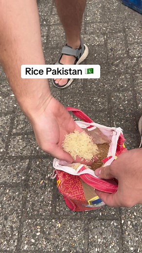 Rice Pakistan: Buying & Using Rice Cookers in Karachi