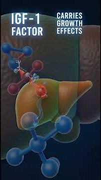 Why Growth Hormone Does More Than Make You Taller | Science Nobody Fully Explains | Shocking Truth