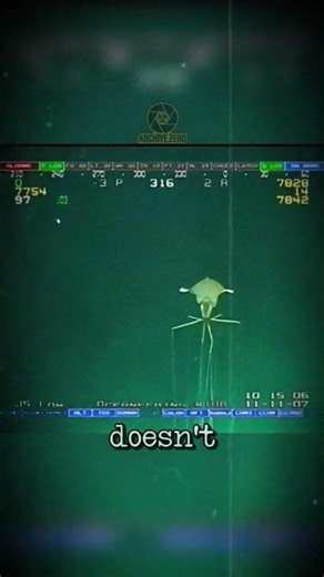 Real Alien Found in Gulf of Mexico? 🦑🛸 #Shorts #DeepSea