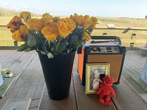 They're still searching: 40 years after Rebecca Beard disappeared