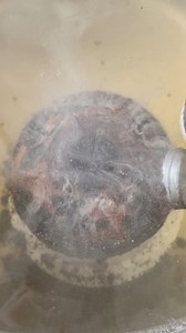 Watch me discover and preserve this American civil war Boreman style fuse cannonball fired by the union at confederate troops back in 1863! (Found on private land with permission from the owner) #metaldetecting #historical #history #americancivilwar #civilwarhistory | endless_search_