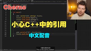 【Cherno 编程系列】中文配音 | 小心 C  中的引用