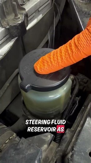 How to: Top Up Your Power Steering Fluid