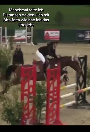 Pony regelt einen weniger als die Großpferde pass schon🫡 #fyp #sirbenni #distanzen #altafalta #springen