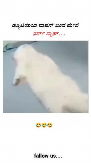 ಡ್ಯೂಟಿ ಇಂದ ವಾಪಸ್ ಬಂದ ನರ್ಸ್ ಸ್ಟಾಪ್.. #ViralReels #ReelViral #TrendingReels #ReelLife #GoViral #InstaReels #ReelOfTheDay #ViralNow #ReelLove #PopularReels #viral #reels #trending #trendingreels #explorepage #explore #manjunath_h0548 | Manjunath H