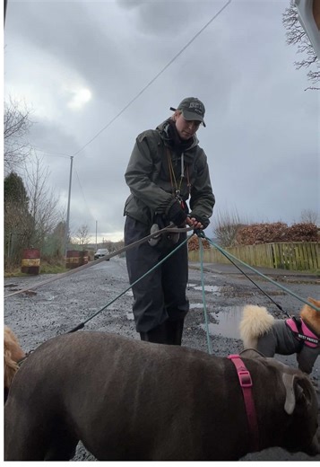 Effective Tips for Dog Walking Alone