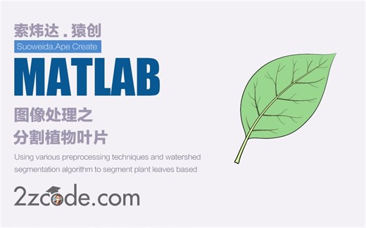 基于Matlab使用各种预处理技术和分水岭分割算法分割植物叶片