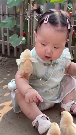 數小雞🐥 #小乖乖萌萌噠上線 #萌娃 #小雞 #古靈࿆精࿆怪࿆小࿆可࿆愛࿆