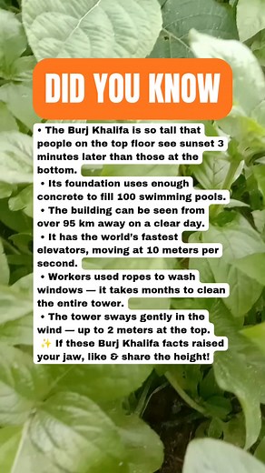 132K views · 854 reactions | Unbelievable Burj Khalifa Facts ️勞 #facts | Daily Brain T | Facebook