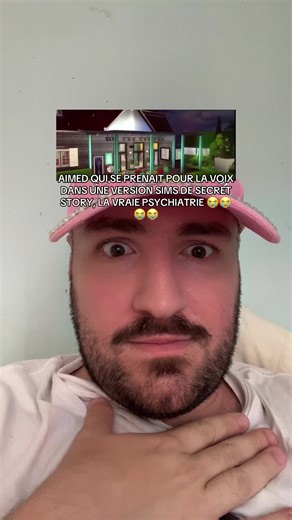 ig generalbecasse #secretstory #aimed | sims