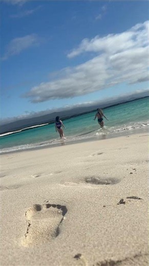 Swimming in Galapagos, Responsible Travel South America from Maria E. 🇪🇨