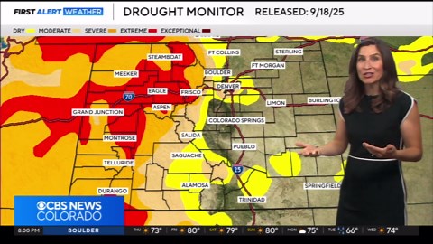 Dry conditions in Colorado creating challenges for bees and other bugs