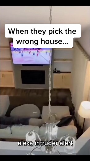 Alexa Intruder Alert in Home Security - Welcome to the Rice Fields