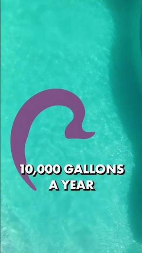 Is Your Pool Losing TOO MUCH WATER? 🌊