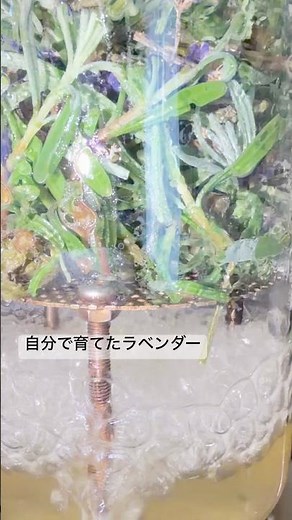 自宅の蒸留器でゆっくりと香りに変えていく時間