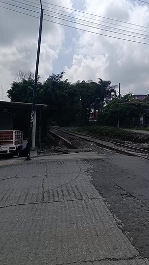 Descubre el Tren Ferromex: Velocidad y Belleza de México