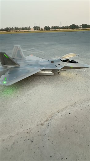 PAU Models by Rc Gadgetz on Instagram: "F-22 raptor"