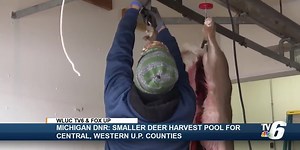 WATCH: UP deer population low this season, says DNR