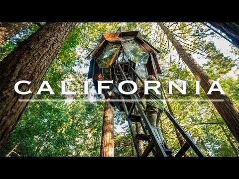 Is this the World's Best Tree House? | Redwood Forest, California