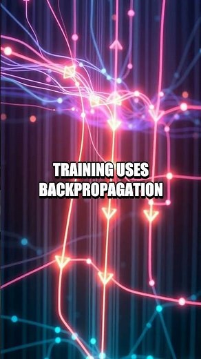 Inside Neural Learning: The Real World of Training AI