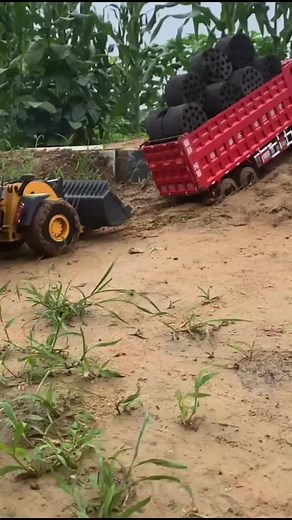 sheeslewdgxh on TikTok