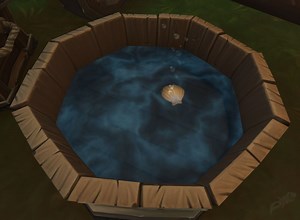 Adventurer's Lost Soap Bar