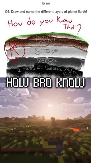 Minecraft test meme #minecraft #meme #fyp