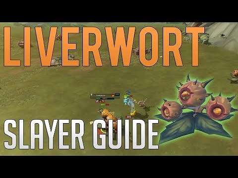 Liverworts (Vile Blooms) slayer guide | Runescape 3
