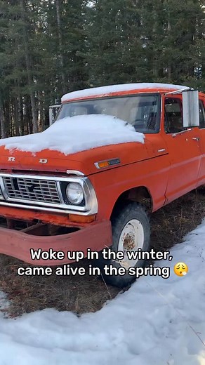 🔥 6 months later & it’s a whole new rig 🔥⁣⁣ ⁣⁣ Send us a DM to talk about building your dream truck ⚡️⁣⁣ ⁣⁣⁣⁣⁣⁣⁣ #oldfordcrewcabs #builtnotbought #ford #oldbutgold #fordnation #4doorfords #1970ford #trucks #1970s #vintagetruck #bumpside #bumpnation #f100 #restoration #frameoffrestoration #frameoff #truckvlog #390fe #farmtruck #barnfind #f250 #bumpside #builtfordtough | RetroMotive Alberta