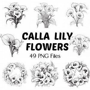 Flowers PNG | 49 Calla Lily Flowers Png | Lily Flowers PNG | Wildflowers PNG | Doodle Flowers | Flowers Clip Art | Line Drawing | Floral Png - Etsy