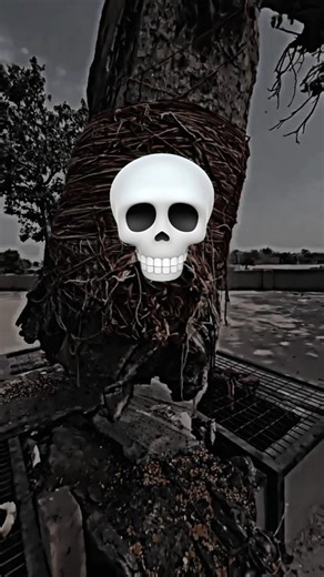 Mythical Creatures Explained #shorts #shok #like