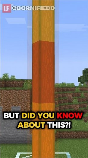 BACONS ARE COOLER THAN YOU THINK!! #minecraft #shorts