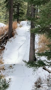 39K views · 125 reactions | A seasonally confused @rowdyflow crushing laps one last time while the mountains get ready for winter. Pushing off trading in his bike for his snowboard for as long as possible. Seasonally confused? 樂 Dirt’s nearly done  ☃️ #jhdreaming #jacksonhole | Jackson Hole Mountain Resort | Facebook