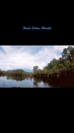 The Floridian 813 on TikTok