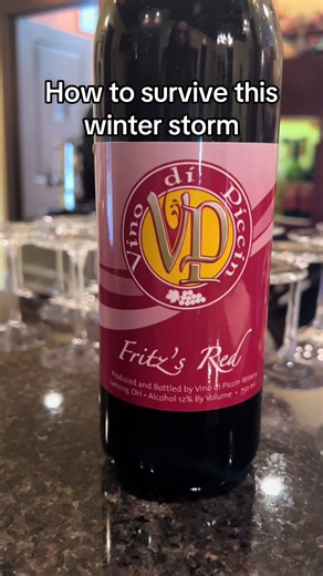 Hurry and grab a bottle of Ohio Wine before the storm hits! 🍷❄️ #ohio #snowstorm #blizzard #belmontcounty
