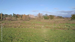 Panorama over Powderham Castle and Park from a drone in Autumn Colors, Exeter, Devon, England, Europe