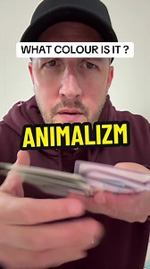 Mind Reading Animal Illusion Challenge