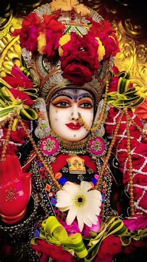 👑🚩👑Meldi maa 👑🚩👑🚩👑 #shorts