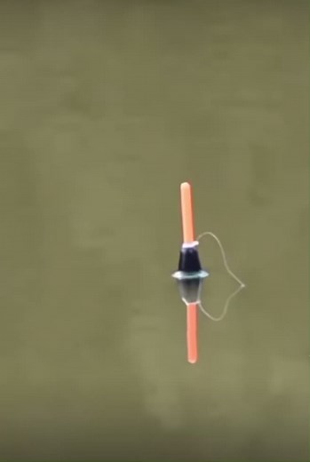 The beauty of fishing. #fishing #fishinglife #fyp #fypシ #xyzbca #first #firstpost #firstvideo #fish #fishtok #bass #blowthisup #blowup #lol #hi #fishe