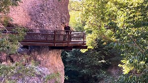 The #Catwalk near #GlenwoodNM is one of New Mexico's most iconic #hikes . #History , #geology and #beauty come together in #beautiful #WhitewaterCanyon . Join Paul from Sandia Mountain Natural History Center to check it out. To watch this video on YouTube: https://youtu.be/Zaop6-ww-mI Learn about the SMNHC at: aps.edu/smnhc #theCatwalk #CatwalkTrail #Gila #GilaWilderness #GilaNationalForest #southernNM #NewMexicoNature #boardwalktrail #uniquetrail #touristattraction #travel #nature #recreationar